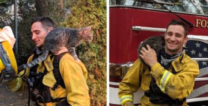 Vor einem Waldbrand gerettete Katze freundet sich sofort mit dem Mann an, der sie gerettet hat