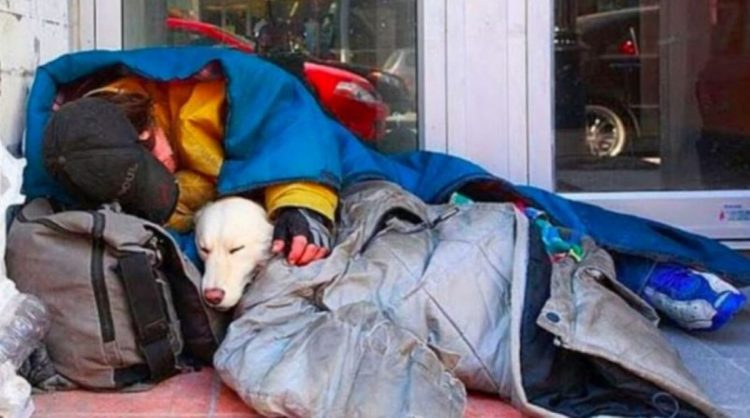 Obdachloser Mann und sein treuer, pelziger Freund kuscheln sich bei eisiger Kälte eng aneinander und zeigen ihre bezaubernde Liebesbindung