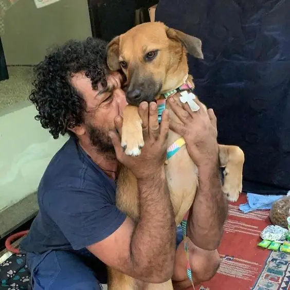 Obdachloser Mann wiedervereinigt sich nach verzweifelten Wochen der Suche mit seinem geliebten Hund