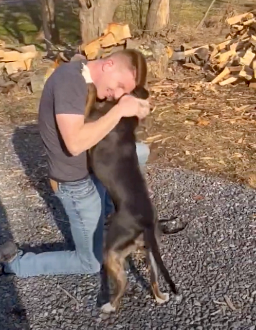 Nach einem achtmonatigen Einsatz kehrt dieser Soldat nach Hause zurück, nur um seinen Hund zu überraschen