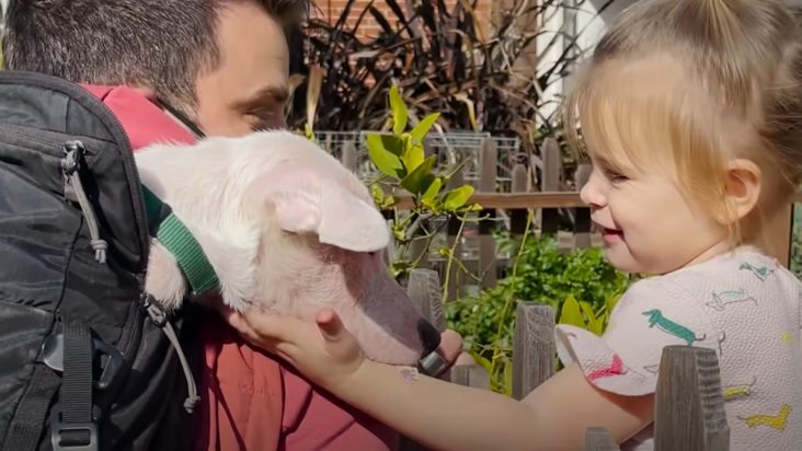 Ein 2-jähriges Kind schließt eine unzerbrechliche Freundschaft mit einem gehörlosen Welpen.