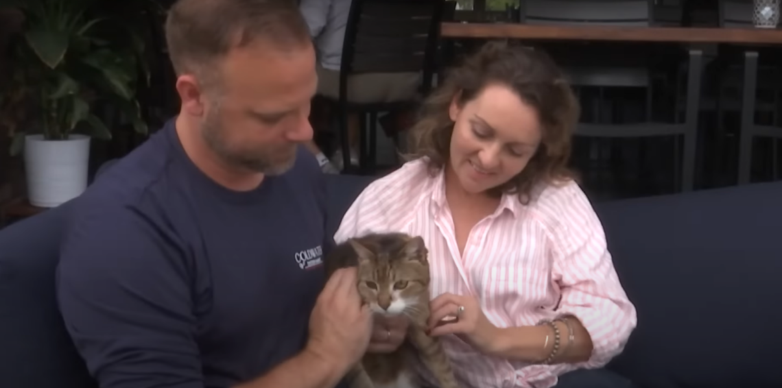 Paar trifft unter Tränen wieder auf geliebte Katze, die seit sieben Jahren vermisst wurde