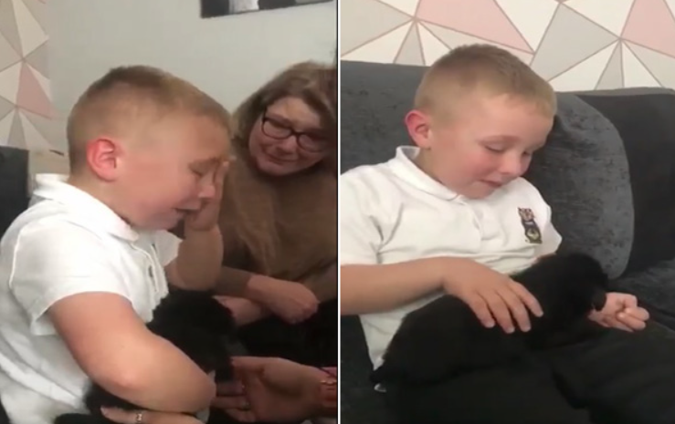 7-jähriger Junge weint Freudentränen, als er einen Welpen bekommt und erklärt, dass sie jetzt beste Freunde sind