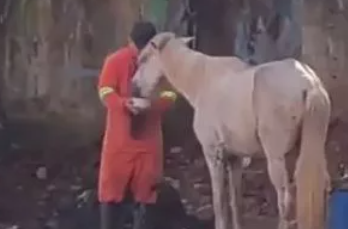 Straßenkehrer unterbricht Arbeit, um durstigem Pferd in der Mitte der Straße zu helfen