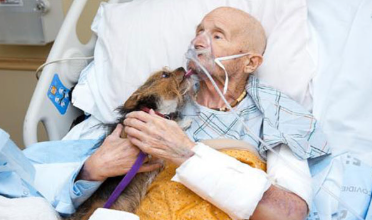 Sterbender Veteran im Hospiz bekommt seinen letzten Wunsch erfüllt, seinen Hund zu treffen