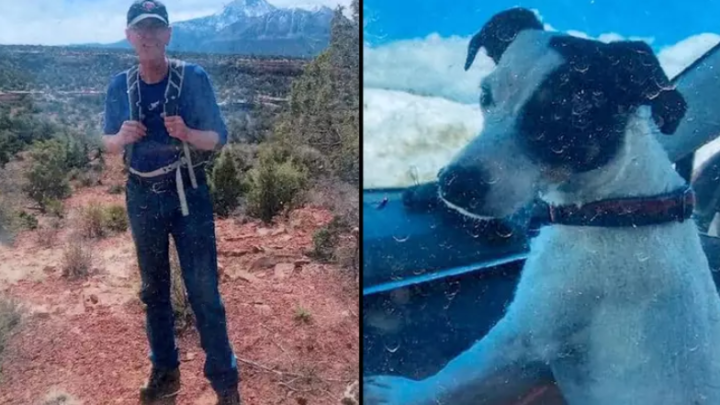 Der seit Monaten vermisste Wanderer wurde tot aufgefunden, sein geliebter Hund lebte an seiner Seite