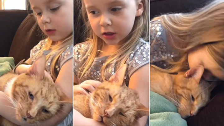 Mädchen singt ihrer sterbenden Katze „Du bist mein Sonnenschein“ vor, um ihr Geborgenheit zu schenken