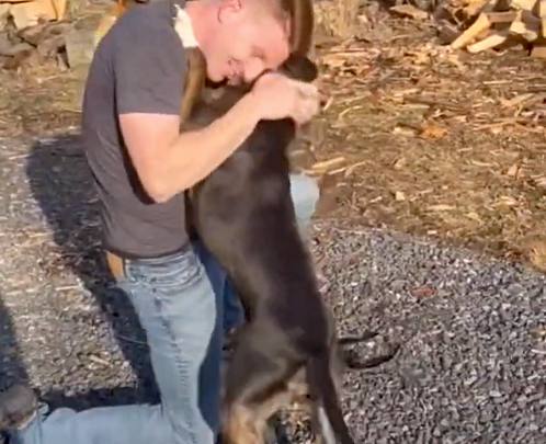 Nach einem achtmonatigen Einsatz kehrt dieser Soldat nach Hause zurück, nur um seinen Hund zu überraschen