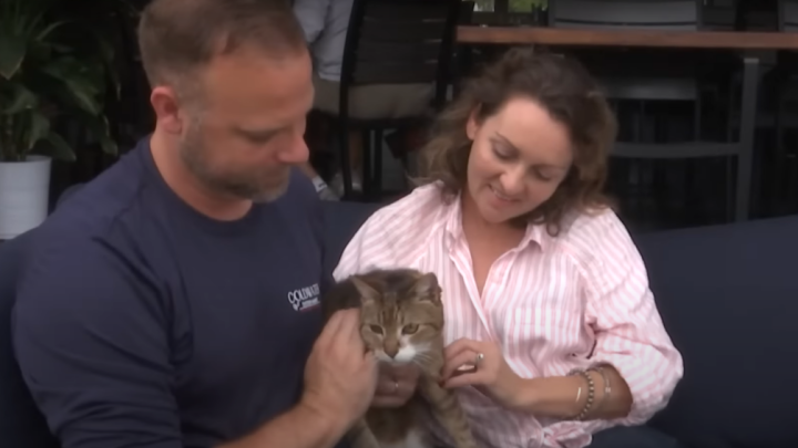 Paar trifft unter Tränen wieder auf geliebte Katze, die seit sieben Jahren vermisst wurde