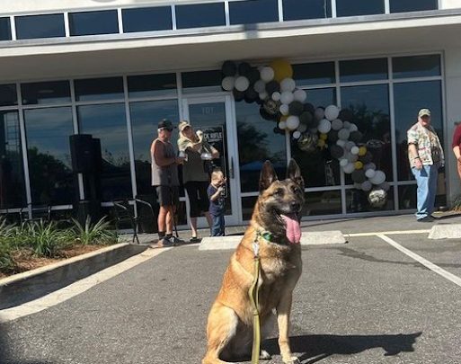 „Eine ergreifende Reise: Der tapfere Militärhund wird von dem Soldaten adoptiert, dem er das Leben gerettet hat.“